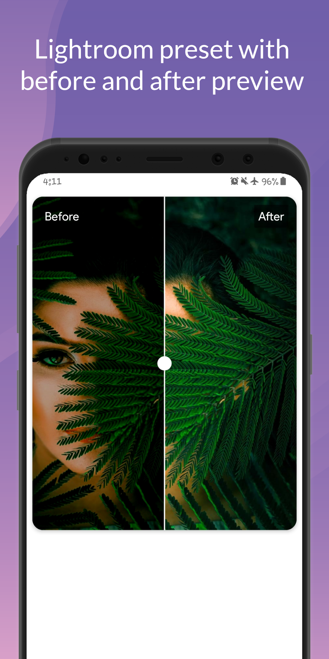 Lightroom Preset Screenshot 2
